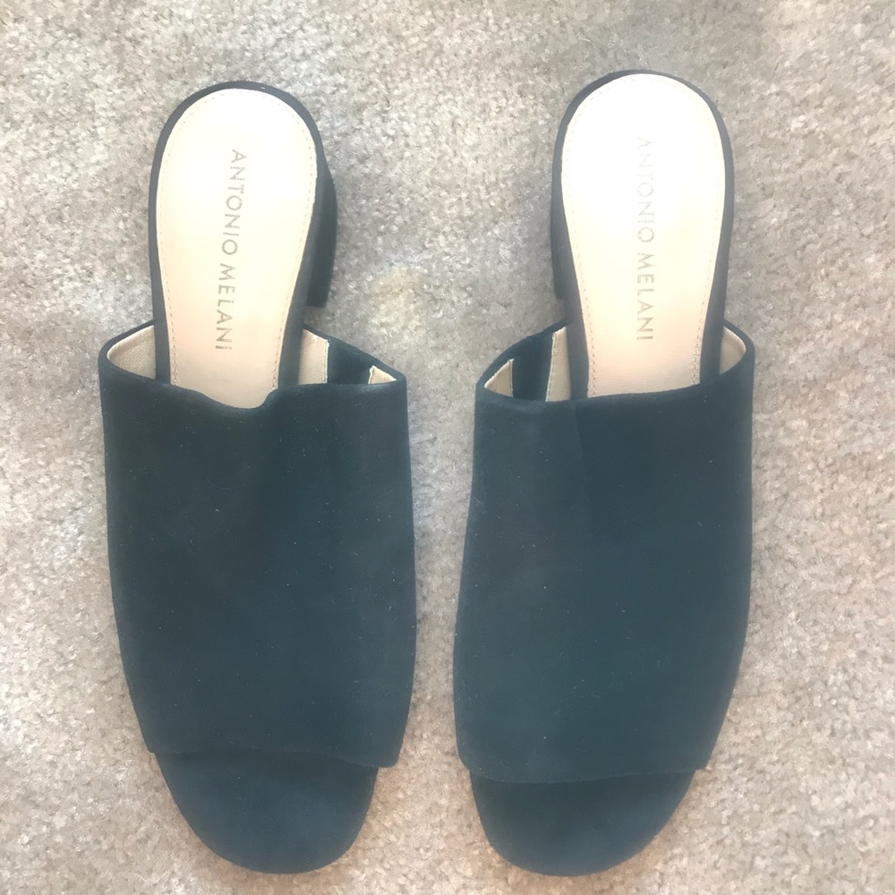 Antonio Melanie 7 1/2 chunky block mules